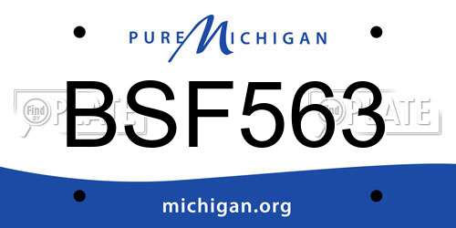 BSF563 Michigan License Plate