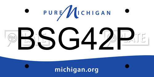 BSG42P Michigan License Plate