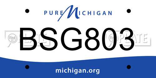 BSG803 Michigan License Plate