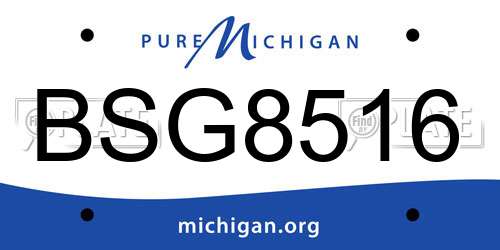 BSG8516 Michigan License Plate