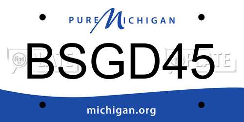 BSGD45 Michigan License Plate