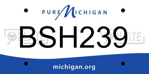 BSH239 Michigan License Plate