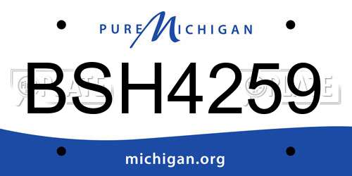 BSH4259 Michigan License Plate