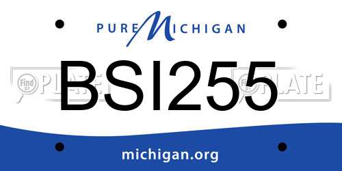 BSI255 Michigan License Plate