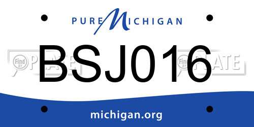 BSJ016 Michigan License Plate