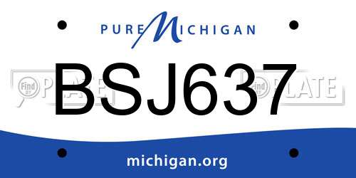 BSJ637 Michigan License Plate