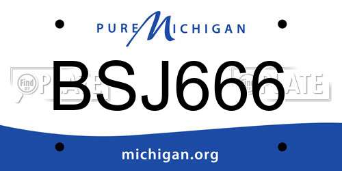 BSJ666 Michigan License Plate