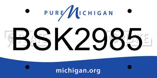 BSK2985 Michigan License Plate