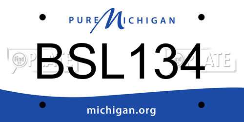 BSL134 Michigan License Plate