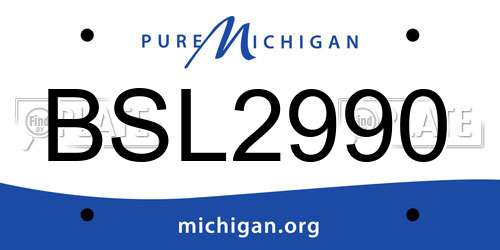 BSL2990 Michigan License Plate