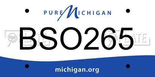 BSO265 Michigan License Plate