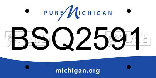 BSQ2591 Michigan License Plate