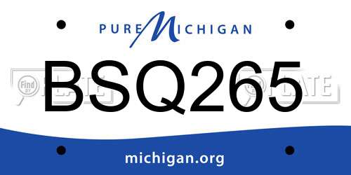 BSQ265 Michigan License Plate