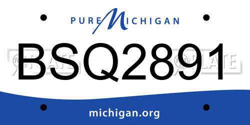 BSQ2891 Michigan License Plate