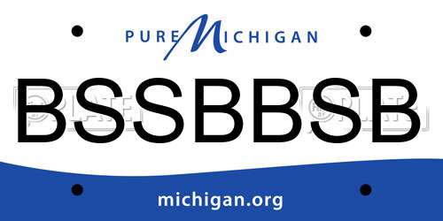 BSSBBSB Michigan License Plate
