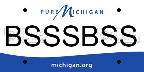 BSSSBSS Michigan License Plate
