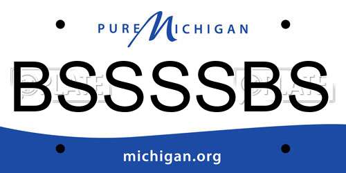 BSSSSBS Michigan License Plate