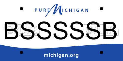 BSSSSSB Michigan License Plate