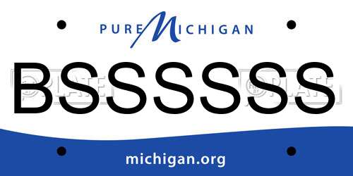 BSSSSSS Michigan License Plate