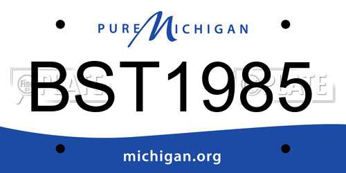 BST1985 Michigan License Plate