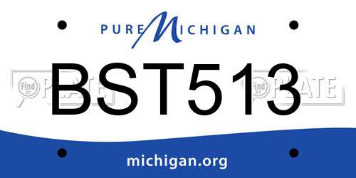 BST513 Michigan License Plate