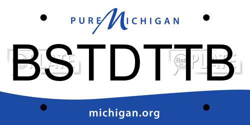 BSTDTTB Michigan License Plate