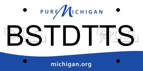 BSTDTTS Michigan License Plate