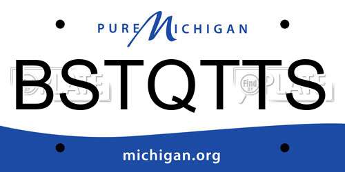 BSTQTTS Michigan License Plate
