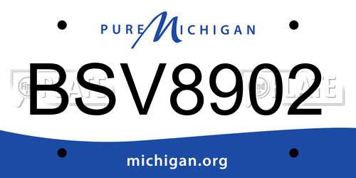 BSV8902 Michigan License Plate