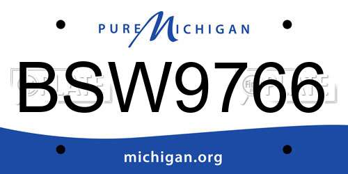 BSW9766 Michigan License Plate