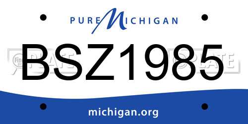 BSZ1985 Michigan License Plate