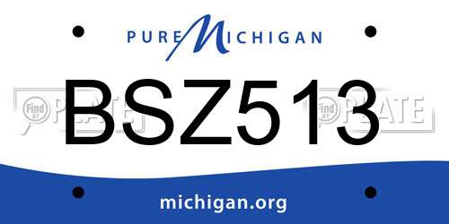BSZ513 Michigan License Plate