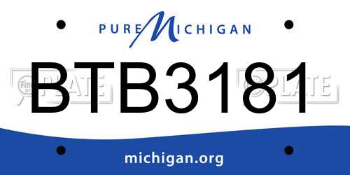 BTB3181 Michigan License Plate