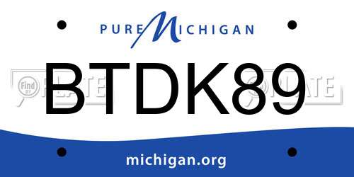 BTDK89 Michigan License Plate