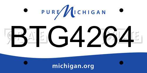 BTG4264 Michigan License Plate