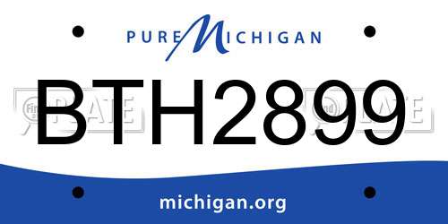 BTH2899 Michigan License Plate