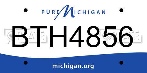 BTH4856 Michigan License Plate