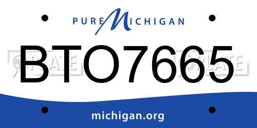 BTO7665 Michigan License Plate