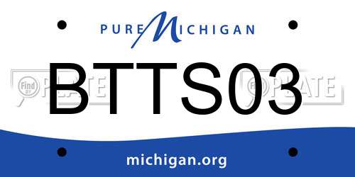 BTTS03 Michigan License Plate