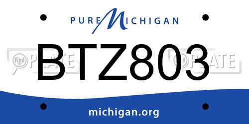 BTZ803 Michigan License Plate