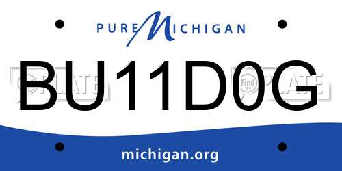 BU11D0G Michigan License Plate