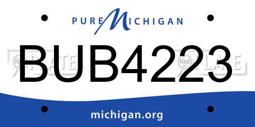 BUB4223 Michigan License Plate