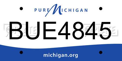 BUE4845 Michigan License Plate