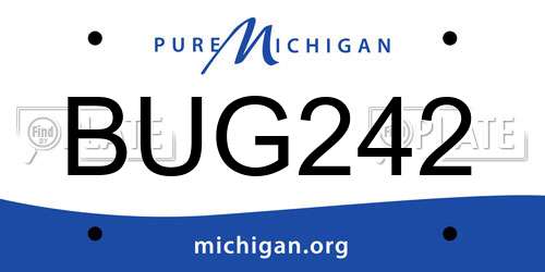 BUG242 Michigan License Plate