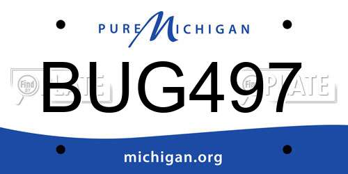 BUG497 Michigan License Plate