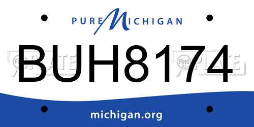 BUH8174 Michigan License Plate