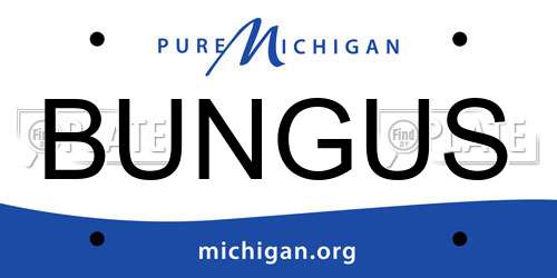 BUNGUS Michigan License Plate