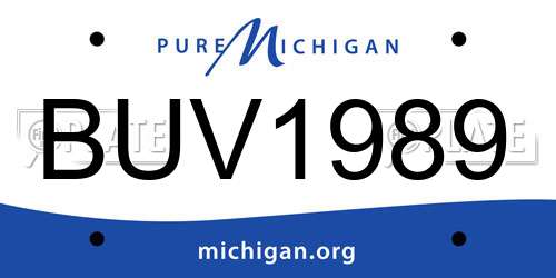 BUV1989 Michigan License Plate