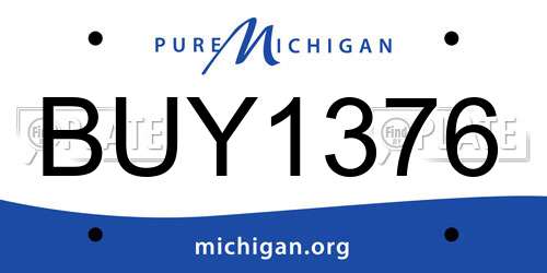 BUY1376 Michigan License Plate
