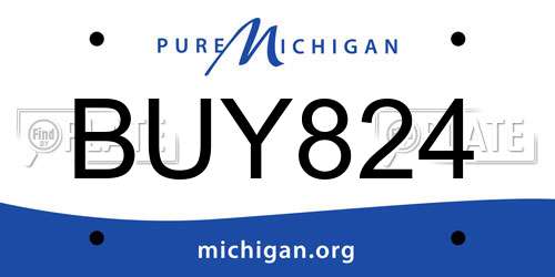 BUY824 Michigan License Plate